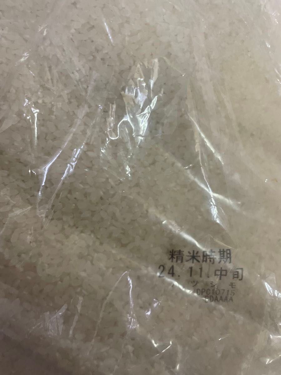 米 10kg ハツシモ