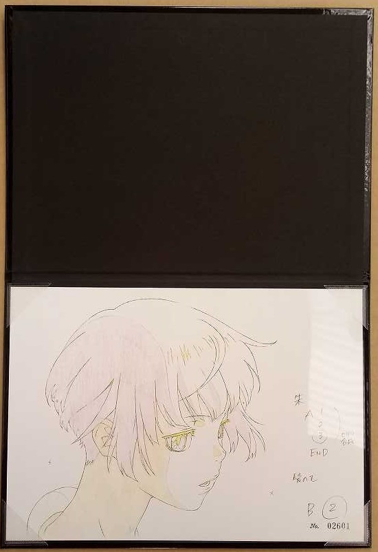 ヤフオク 劇場版 Psycho Pass サイコパス アニメイト 予約