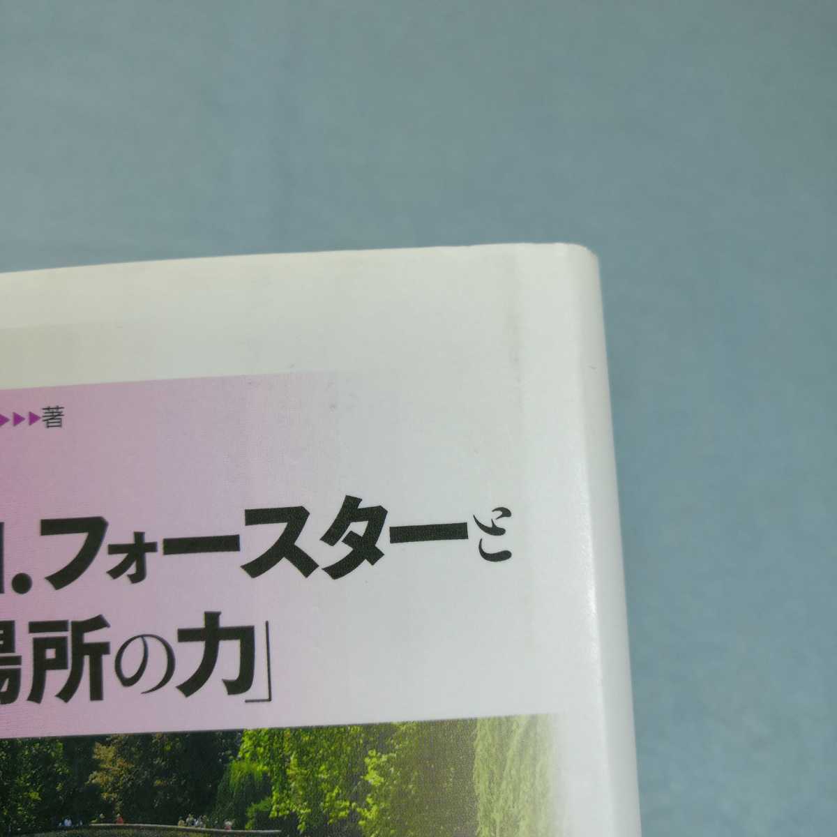 E.M.フォースターと「場所の力」／塩田伊津子●送料無料・匿名配送 