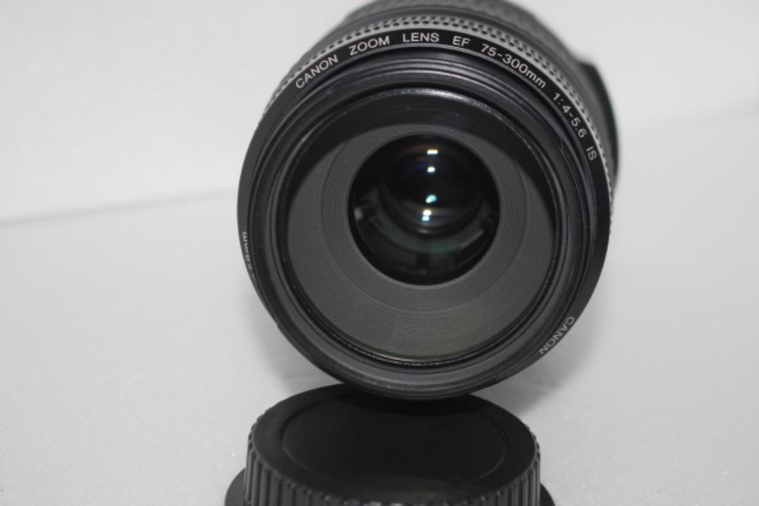 セール最新作】 Canon - ☆イベントで活躍☆手ぶれ補正レンズ☆Canon