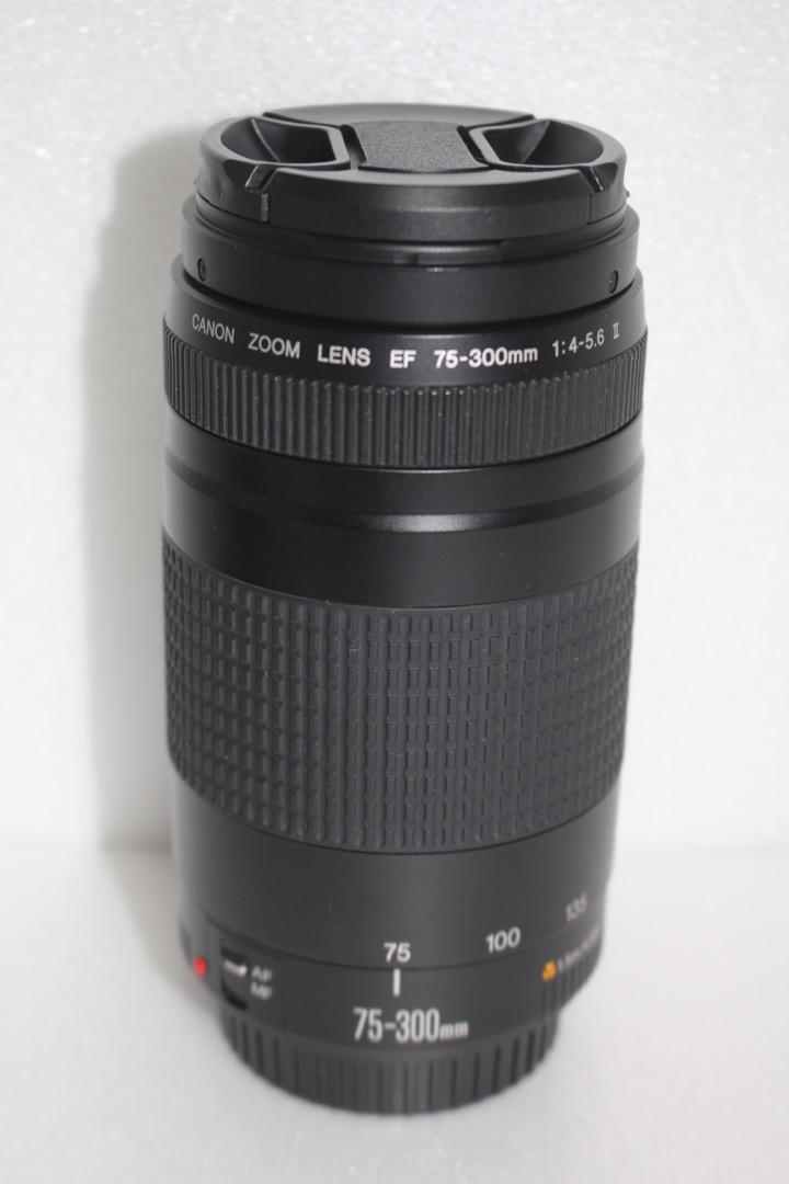 新品未使用 フード付き/スポーツ/運動会/Canon EF 75-300㎜ II | tonky.jp