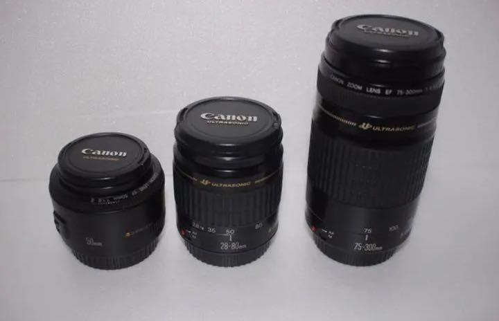 Canon EOS 7D MarkⅡ 標準&望遠&単焦点セット346 カメラ、光学機器 Canon EOS 7D MarkⅡ 標準&望遠&単焦点セット346 カメラ、光学機器