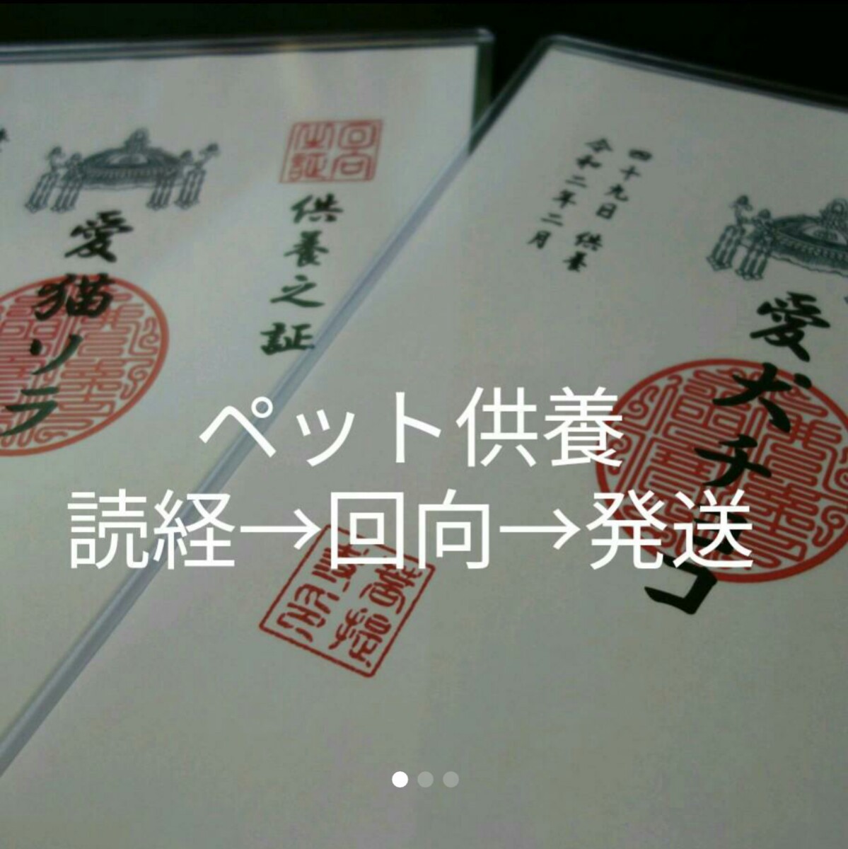 269/ペット供養之証◎年回忌、49日、命日、告別 /仏教/お寺