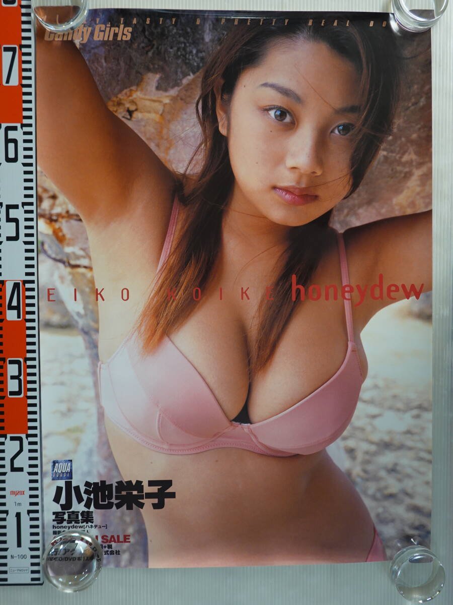 3576ポスター B2サイズ 小池栄子2枚 水着 ビキニ 青 ピンク 写真 3576ポスター B2サイズ 小池栄子2枚 水着 ビキニ 青 ピンク 写真