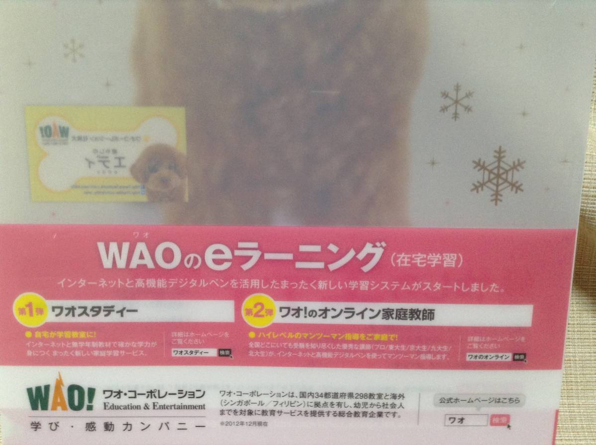 ヤフオク 癒しのエディ トイプードル Wao クリアファイ ヤフオク 癒しのエディ トイプードル Wao クリアファイ
