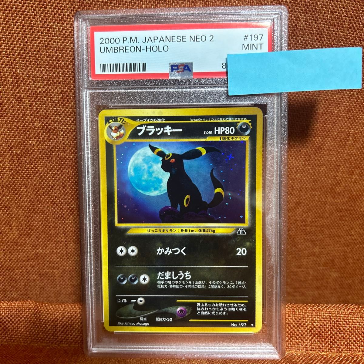 ポケモンカード ブラッキー 旧裏 ホロ 遺跡をこえて psa9|Yahoo ポケモンカード ブラッキー 旧裏 ホロ 遺跡をこえて psa9|Yahoo