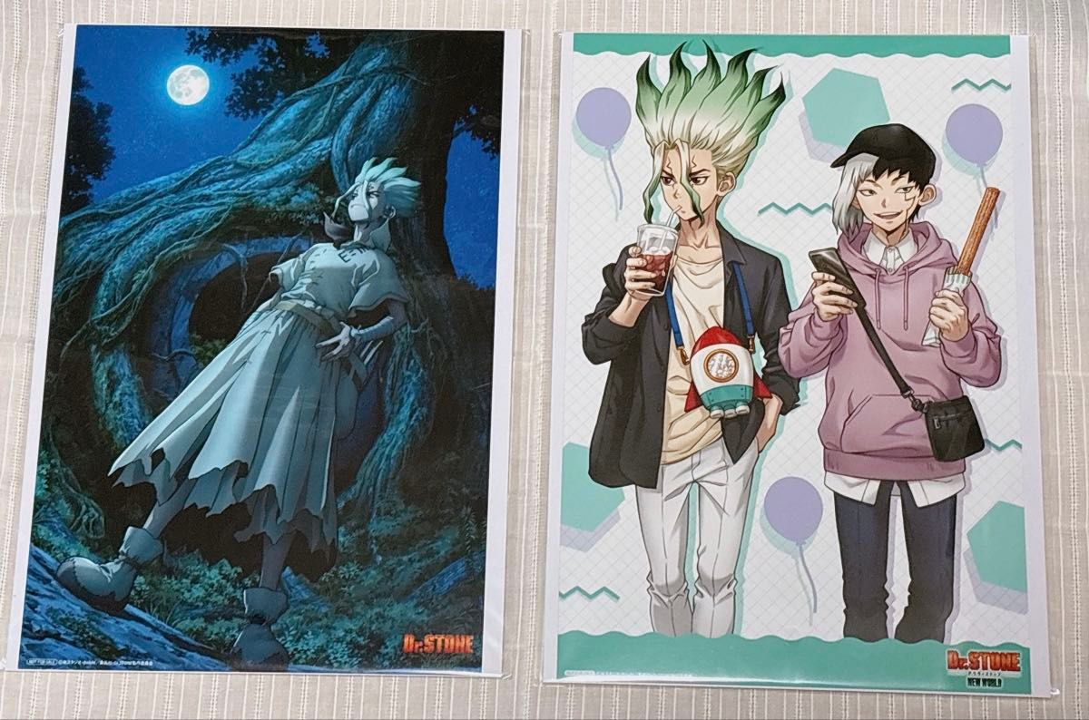 Dr.STONE 石神千空 6PWブロマイド 3期 ブルーレイ DVD 特典 Dr STONE 3期 Blue-ray アニメイト 全巻購入特典 6PWブロマイド