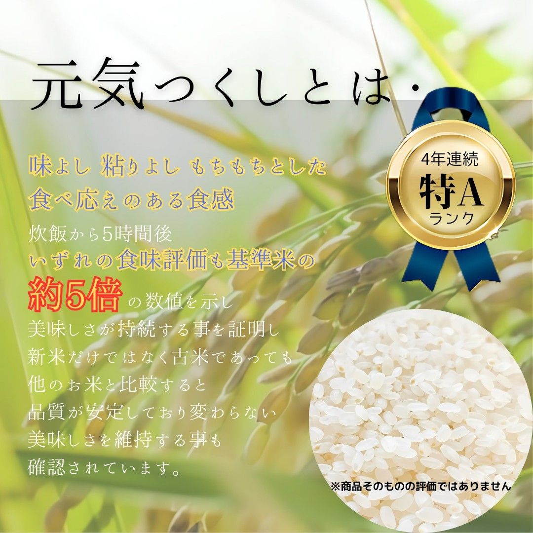 元気つくし 10kg 白米 6年産 お米 おまけつき お得なセット商品