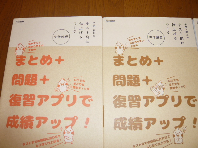 ヤフオク 中間 期末のテスト前に仕上げるワーク 中学地理