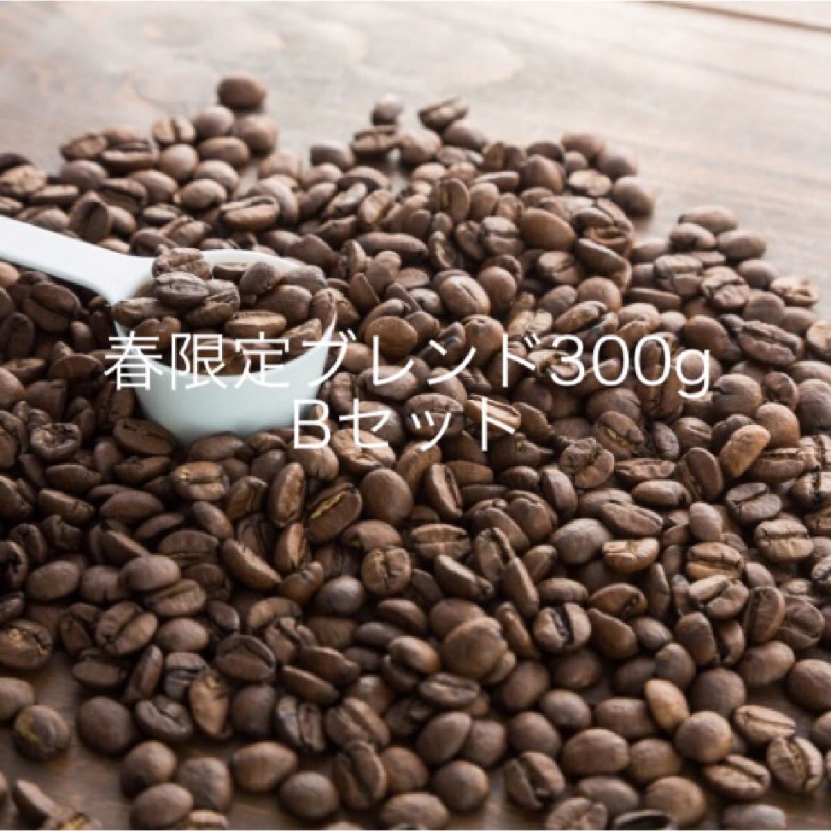 注文後焙煎》コーヒー豆3種飲み比べBセット300g(3×100g) ※即購入可 通販