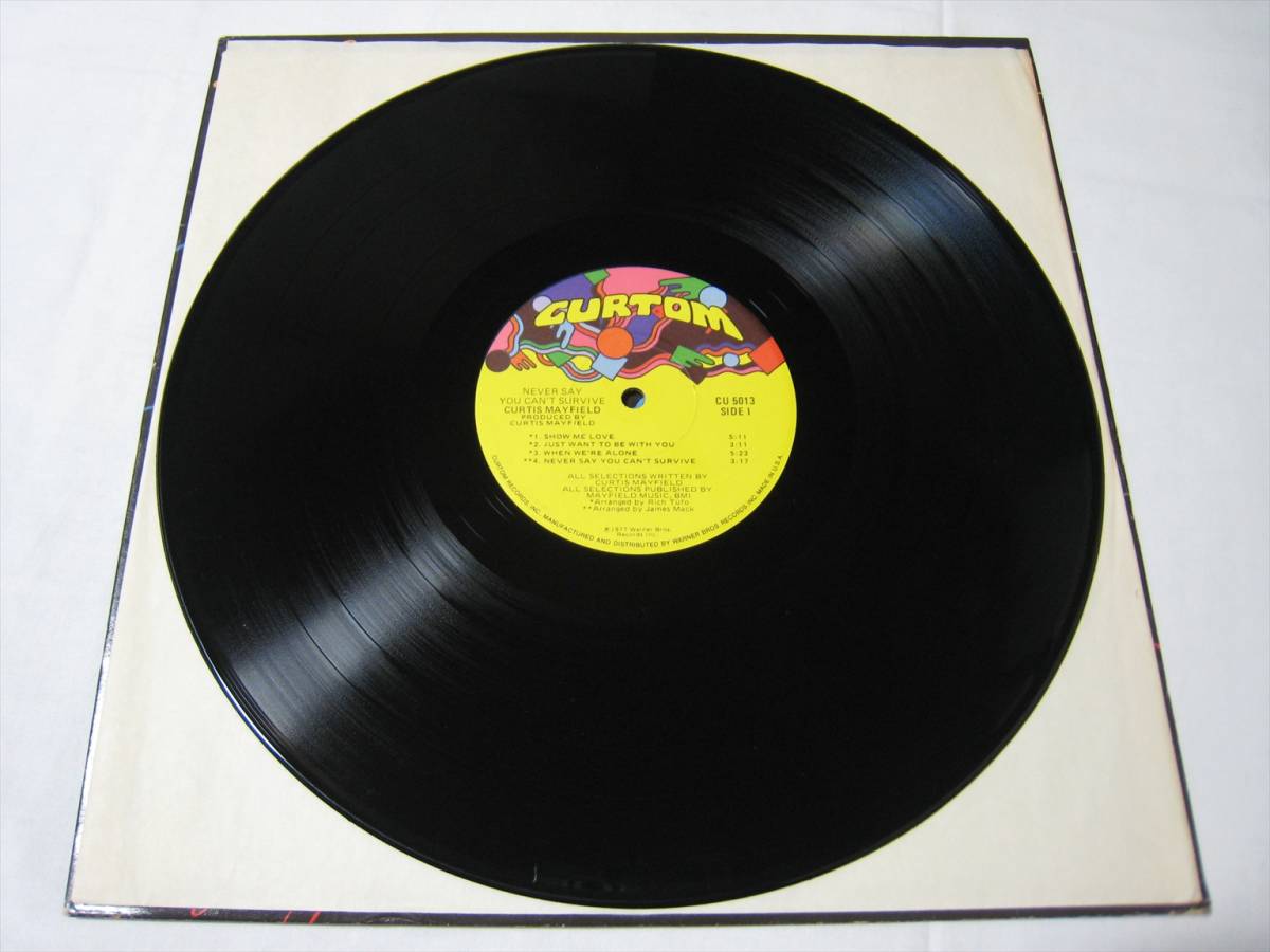 Curtis Mayfield プロモ盤レコード - www.kempenerrose.de