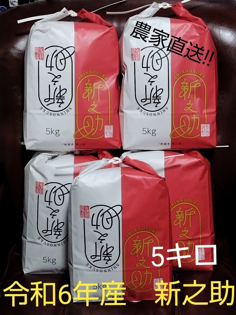 令和6年産 新潟ブランド米 【新之助】5キロ 白米 農家直送