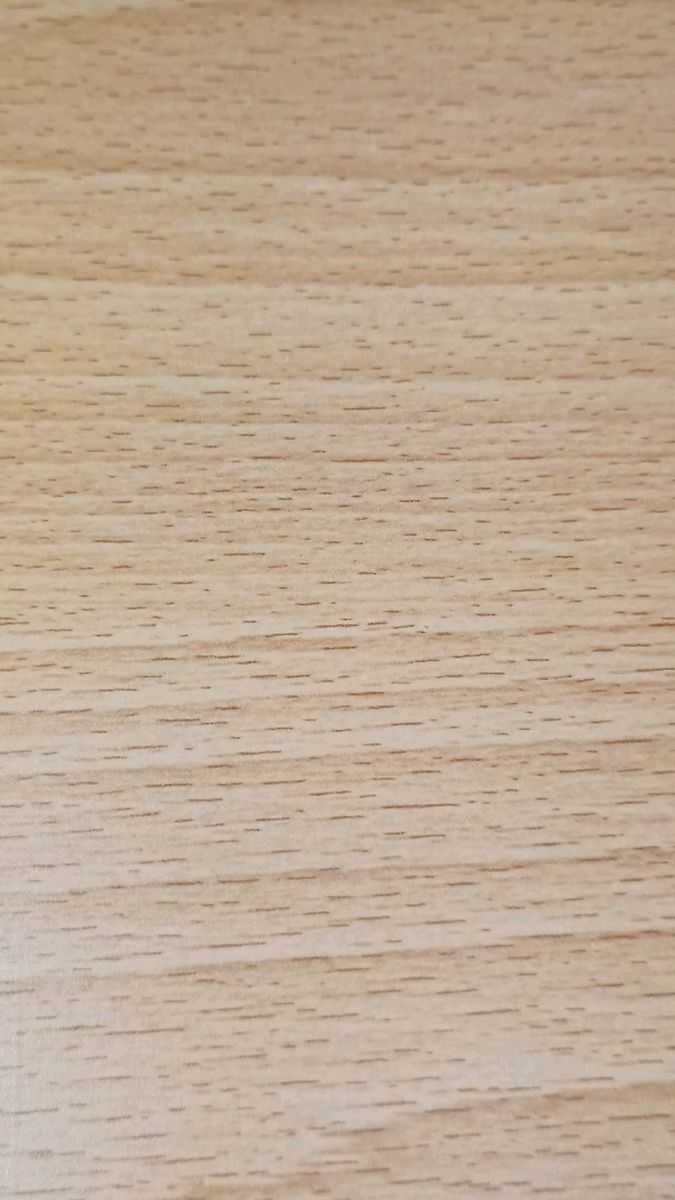将棋 駒 木製 プラスチック?ケース付き