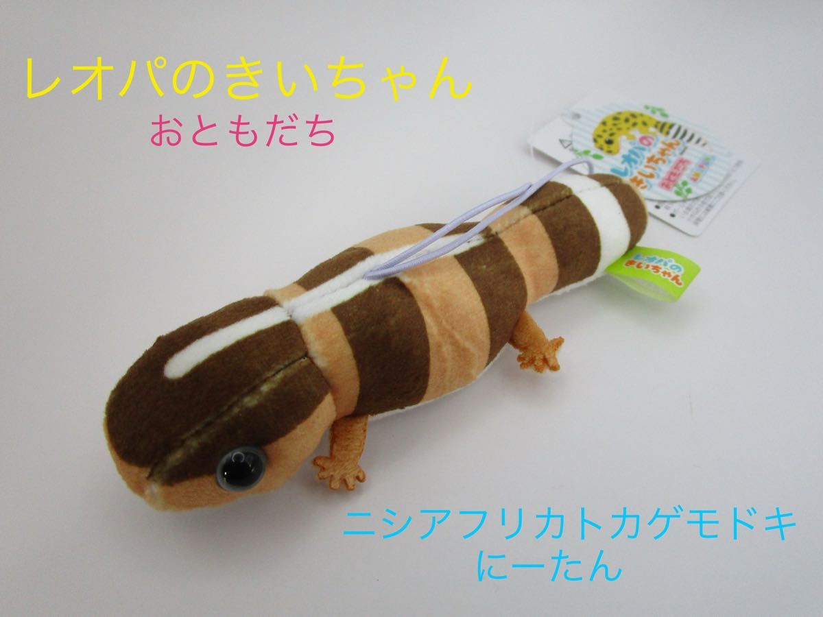 レオパのきいちゃん おともだち ぬいぐるみ ニシアフリカ レオパのきいちゃん おともだち ぬいぐるみ ニシアフリカ