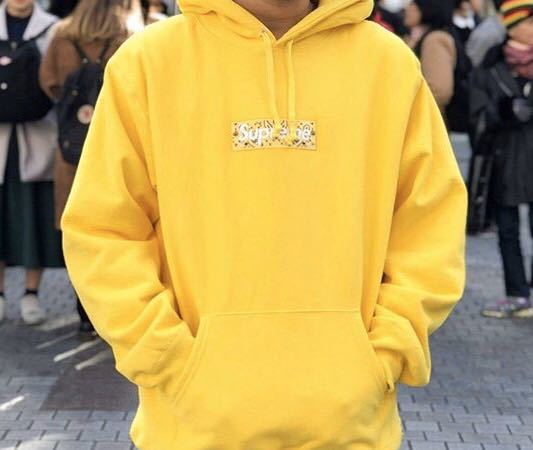 【50%OFF!】 Supreme バンダナ ボックスロゴ パーカー - 気質アップ - livingart.co.kr