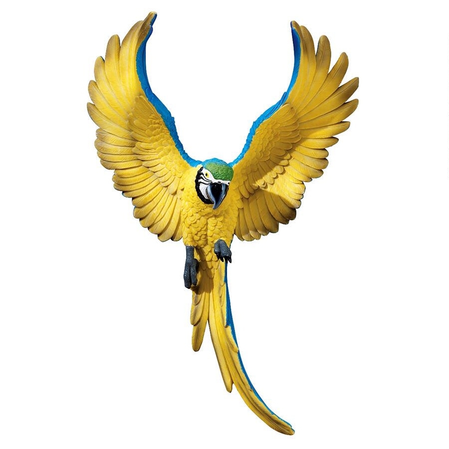 ヤフオク 羽ばたく レモンイエローのコンゴウインコ鳥 壁 ヤフオク 羽ばたく レモンイエローのコンゴウインコ鳥 壁