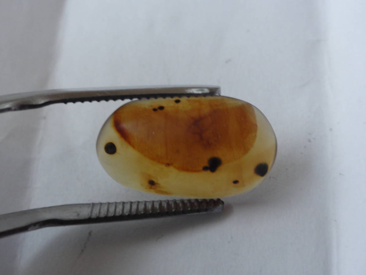 2.3ct Bloom amber amber insect entering Myanma 