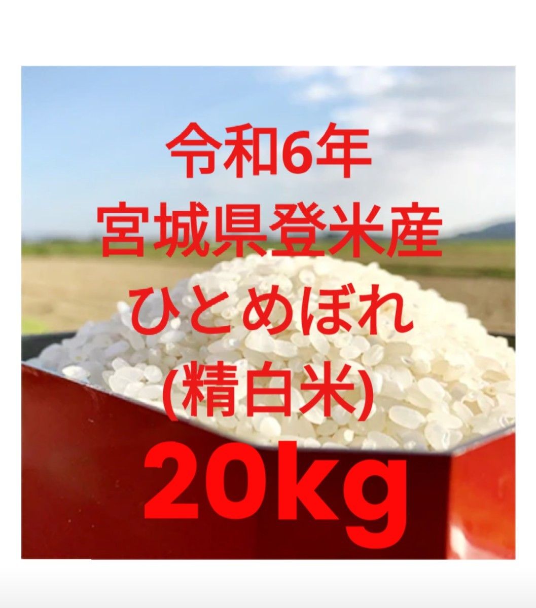 令和6年 宮城県登米市産ひとめぼれ 精白米 20kg (10kg×2袋)