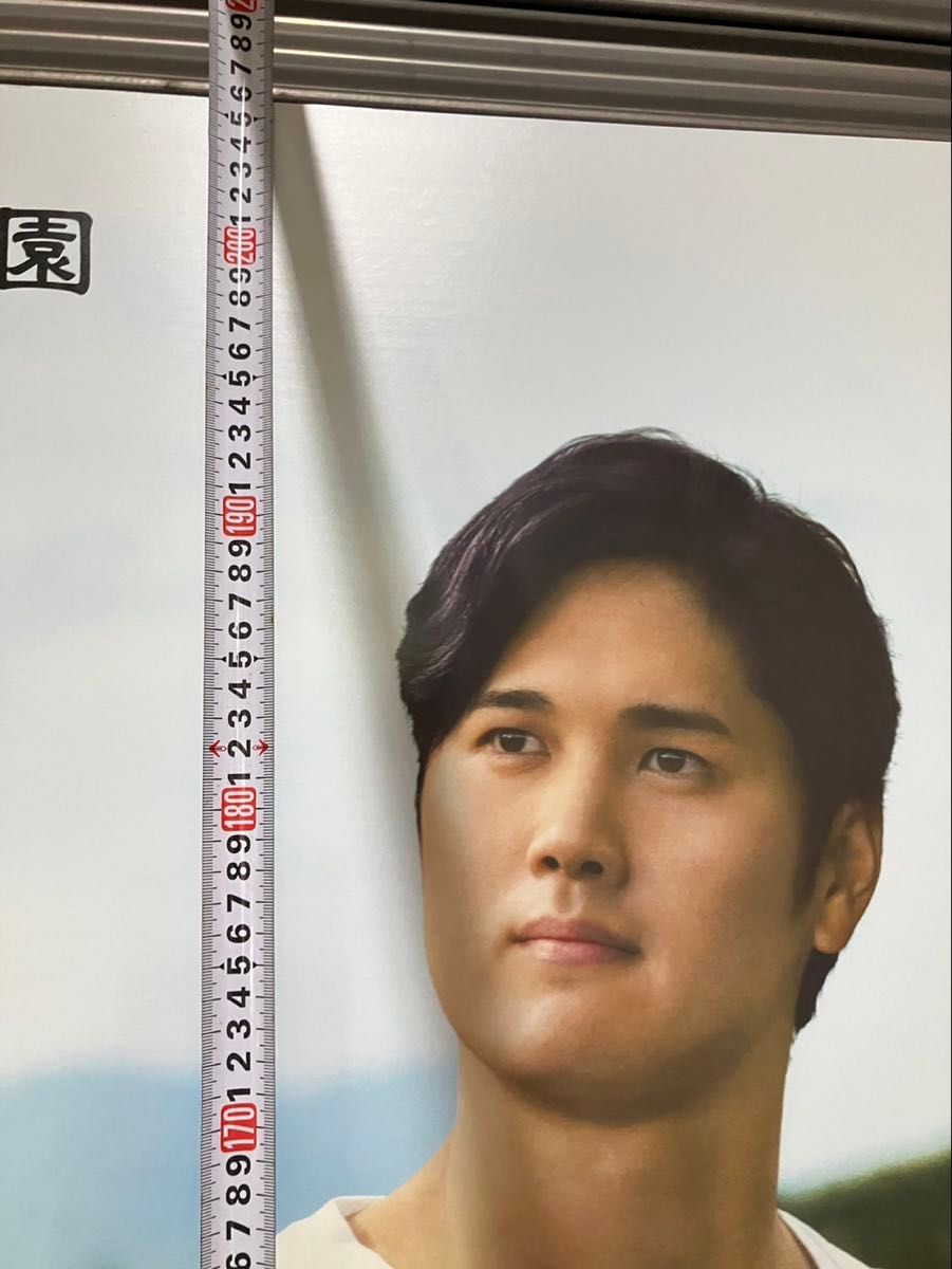 大谷翔平 等身大パネル 伊藤園 非売品|Yahoo!フリマ(旧PayPay 大谷翔平 等身大パネル 伊藤園 非売品|Yahoo!フリマ(旧PayPay