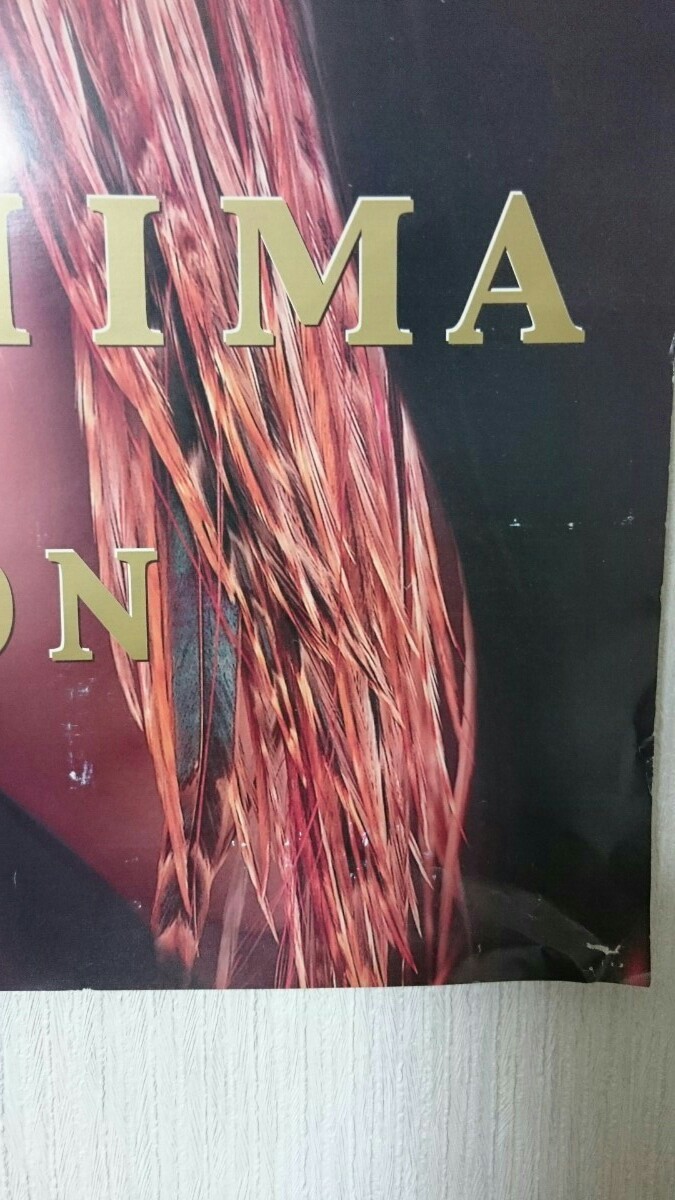 中島美嘉グッズ サイン入りポスター | clinicamedicasantapaulina.com.br