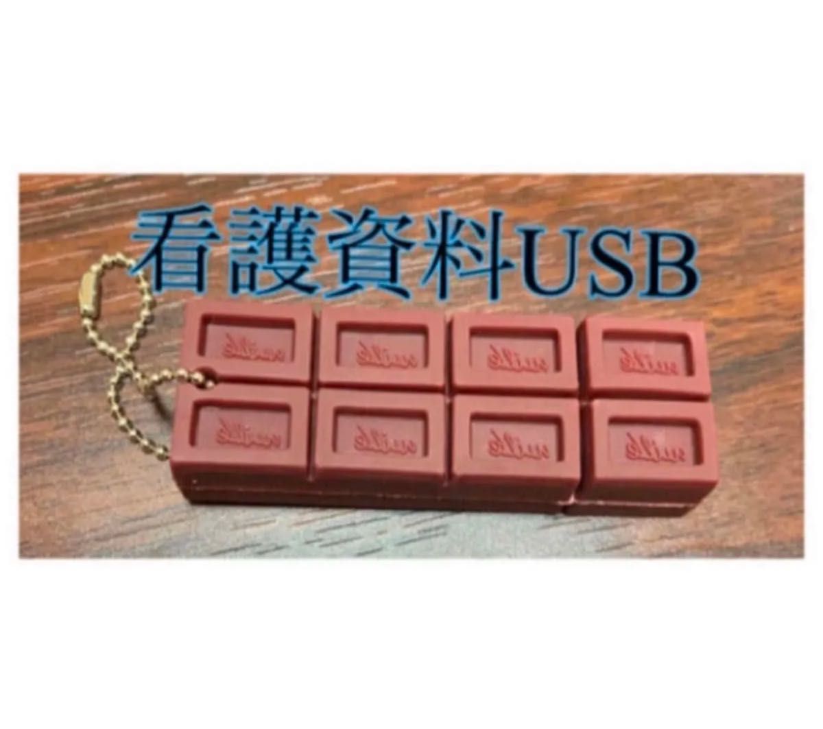 看護　実習レポート　USB