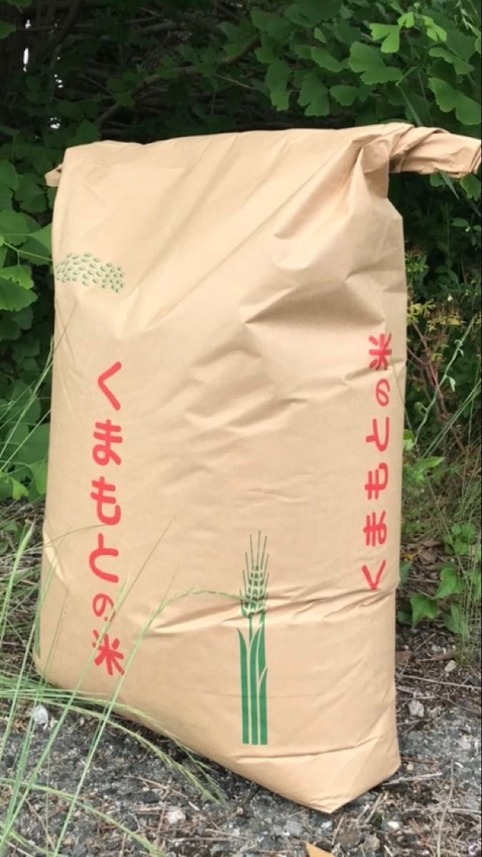 13. 令和6年産 新米 中米コシヒカリブレンド20kg 福島県産 13. 令和6年産 新米 中米コシヒカリブレンド20kg 福島県産