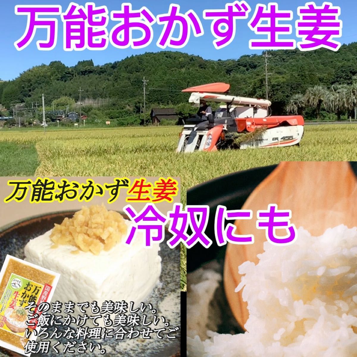 「万能おかず生姜」 130g×20袋 パパッと混ぜて簡単便利 きざみ生姜の醤油漬 ご飯のお供 色んな料理の薬味に 宮崎県産生姜使用