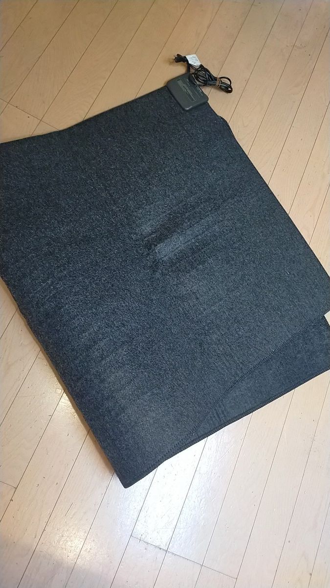 【良品】 無印良品 ホットカーペット 1畳用 R-10M5 12年製