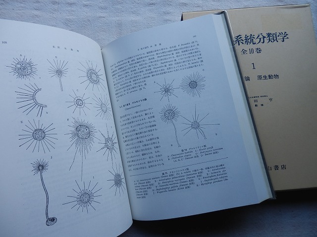 Paypayフリマ 動物系統分類学 第1巻 総論 原生動物 内田亨 中山書店 Paypayフリマ 動物系統分類学 第1巻 総論 原生動物 内田亨 中山書店