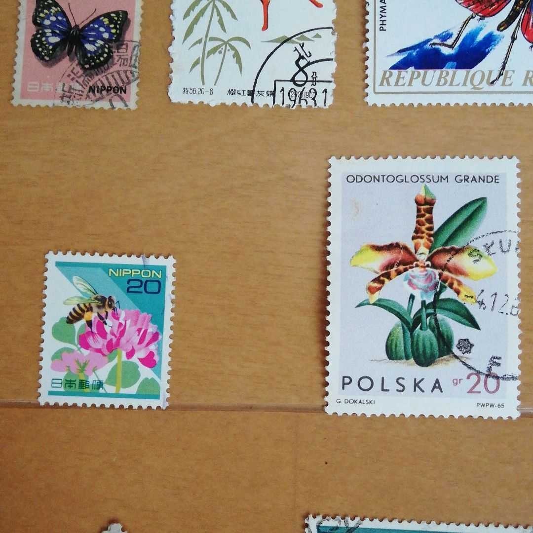 海外等の昆虫切手　１３枚