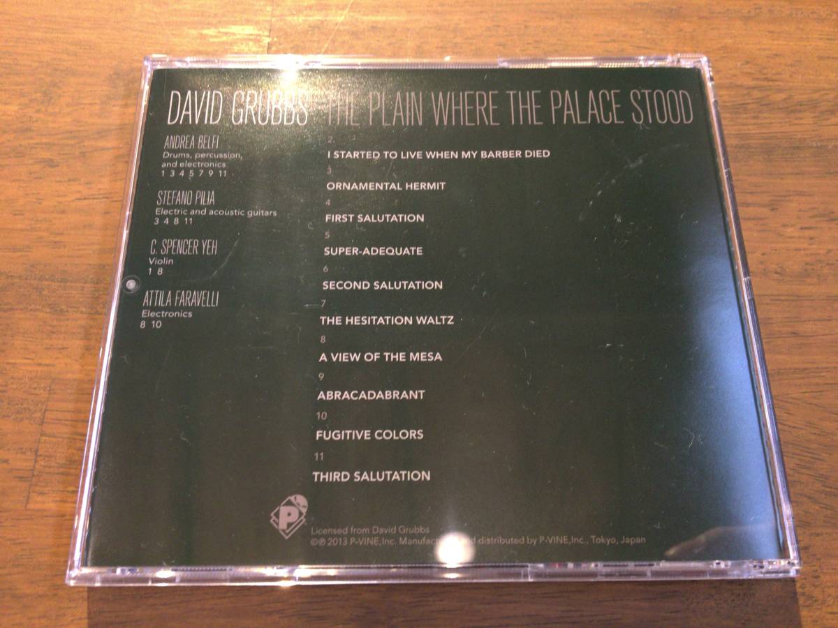 David Grubbs『The Plain Where The Place Stood』(CD) Gastr del Sol_画像2