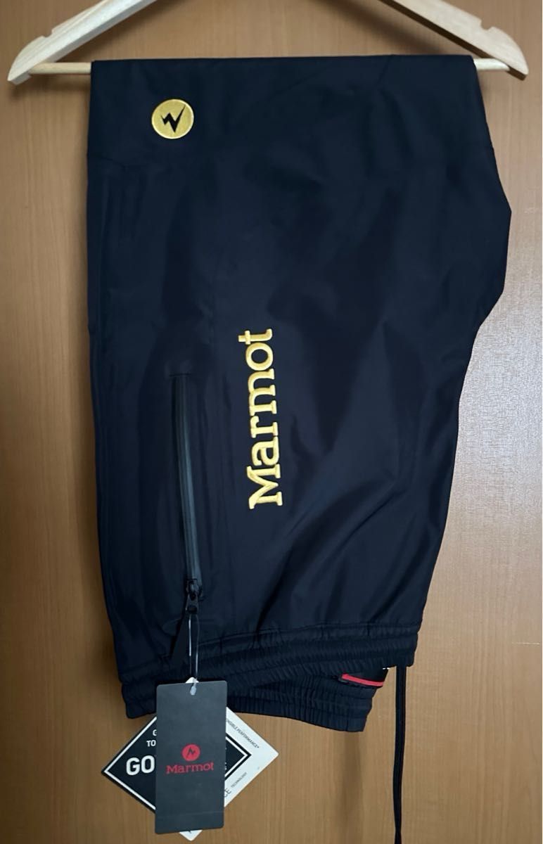 Lサイズ the apartment stabridge×Marmot GORE-TEX 3L ALPINIST Lサイズ the apartment stabridge×Marmot GORE-TEX 3L ALPINIST