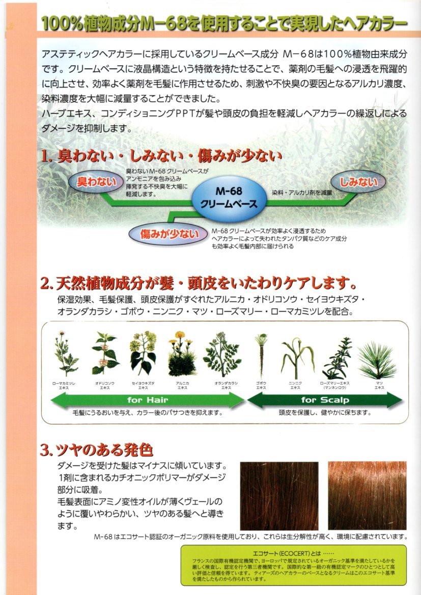 ★ＴＩＥＲＳ★アステティックカラー[AESTHETICS]100%植物成分M-28使用！_画像3