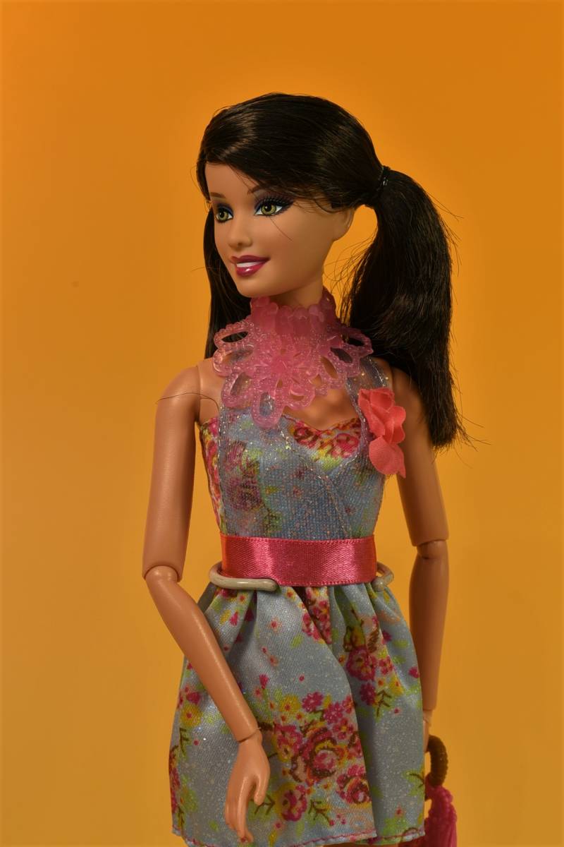 Barbie人形　「詳細不明 Barbie」(29) 元箱無し・サービス品（Dog）付き_画像2