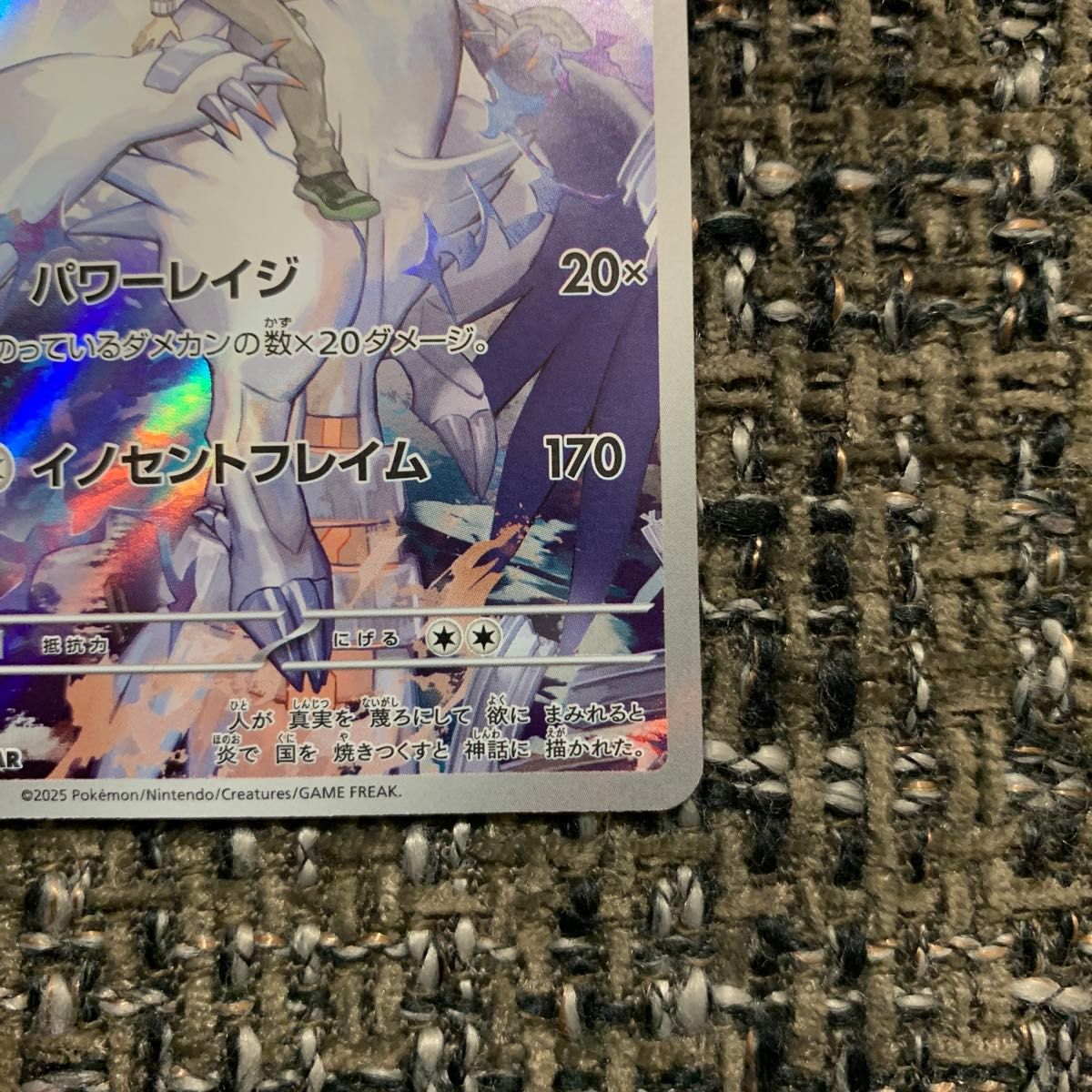 ポケモンカード Nのレシラム AR バトルパートナーズ sv9 109/100 ポケモンカード Nのレシラム AR バトルパートナーズ sv9 109/100