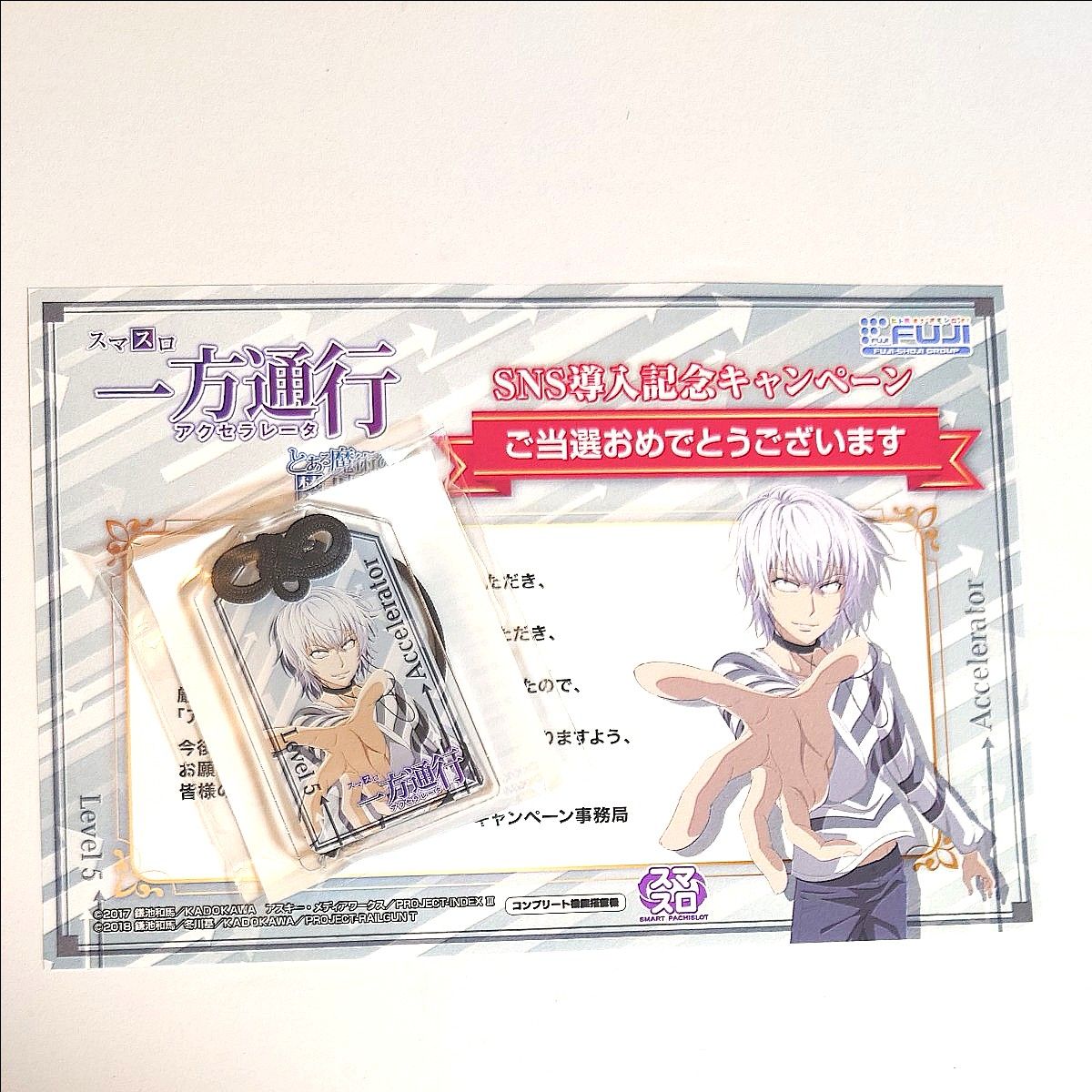 とある魔術の禁書目録 一方通行 アクセラレータ アクリルお守り とある魔術の禁書目録 一方通行 アクセラレータ アクリルお守り