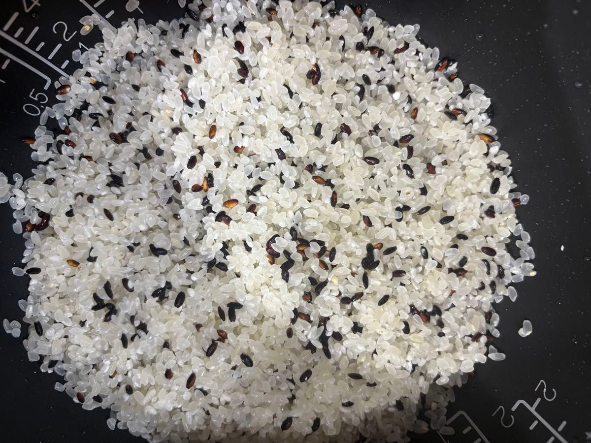 6年度産黒米 15kg 20kgまで承ります|Yahoo!フリマ(旧PayPay 6年度産黒米 15kg 20kgまで承ります|Yahoo!フリマ(旧PayPay