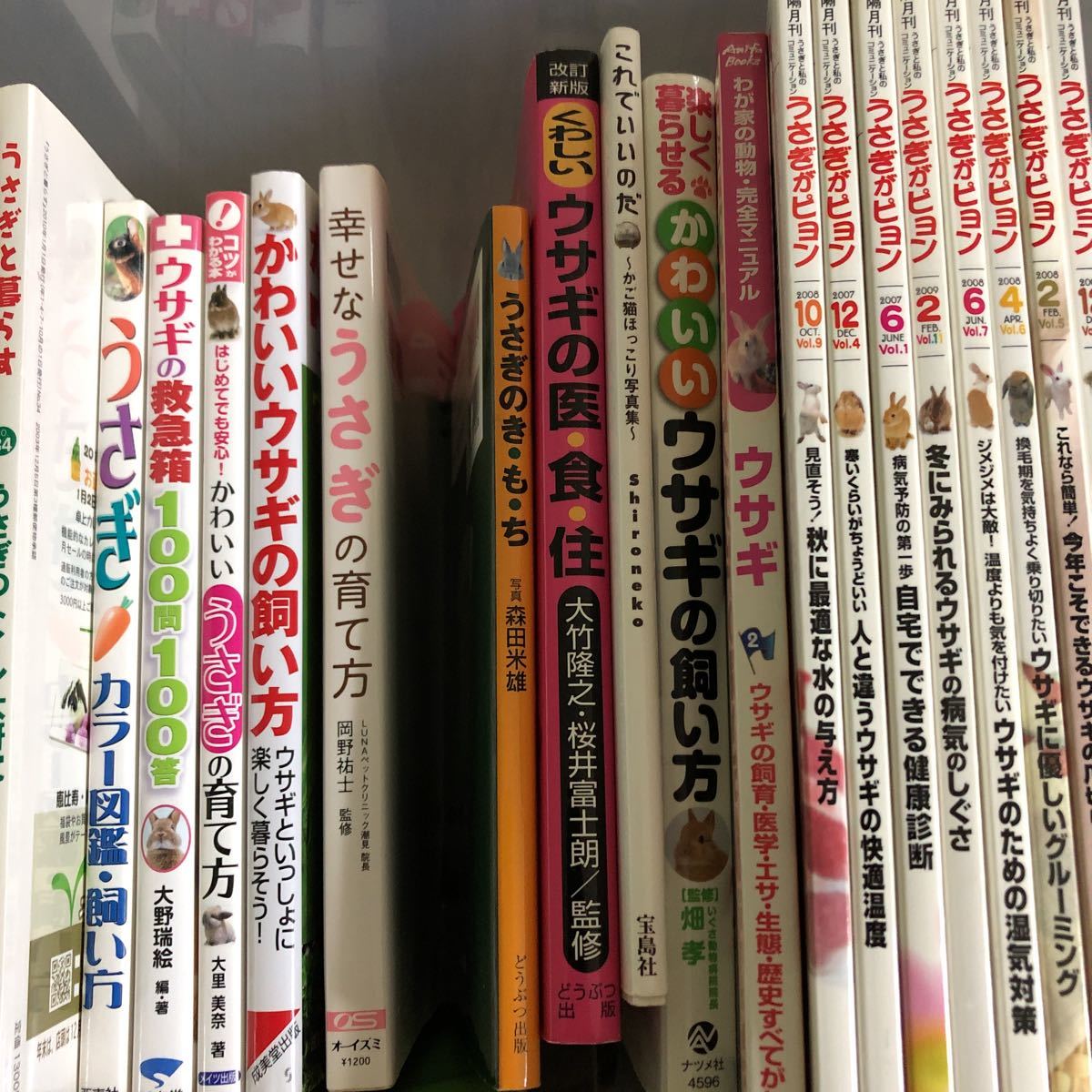 ヤフオク うさぎと暮らす ウサギ飼育本 品種カタログ ヤフオク うさぎと暮らす ウサギ飼育本 品種カタログ