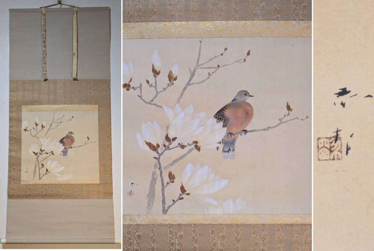 【真作】掛軸 白木蓮に山鳩 上品な春の情景 春の静寂 花鳥逸品 合箱入 R108 真作】掛軸 白木蓮に山鳩 上品な春の情景 春の静寂 花鳥逸品 合