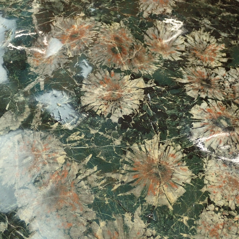 □FK-504 菊花石 鑑賞石 台付 20250328