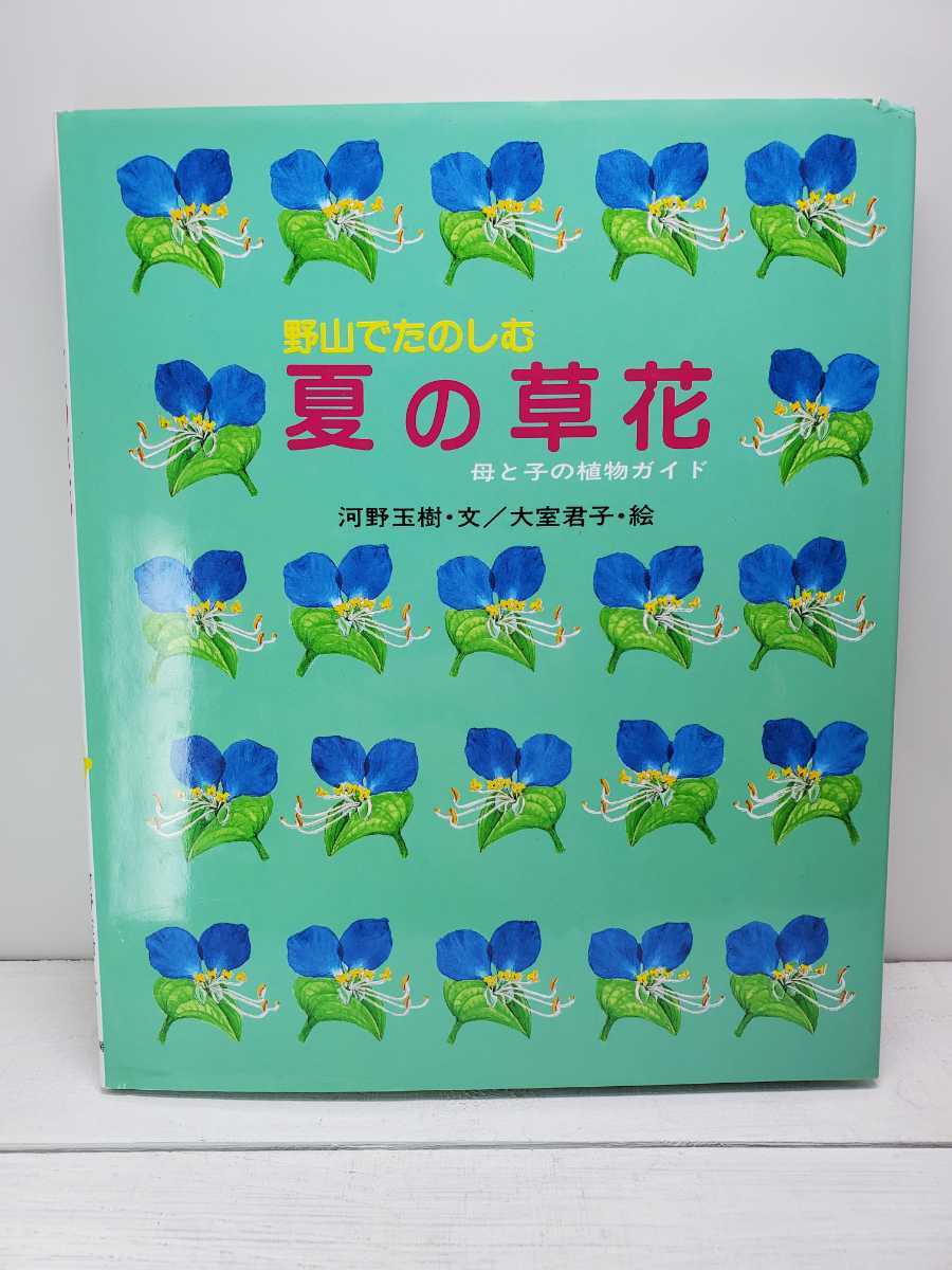 ★♪中古本♪野山でたのしむ 夏の草花♪母と子の植物ガイド♪さ・え・ら書房♪_画像1