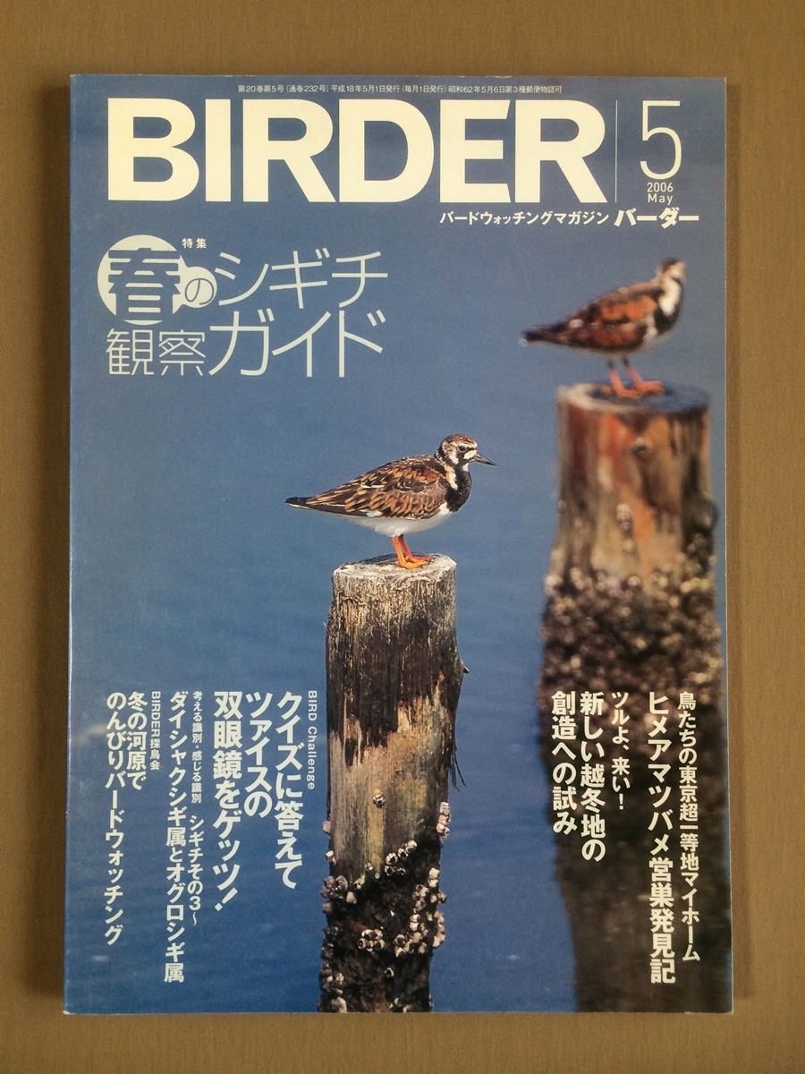 Birder バーダー 2006年5月号★春のシギチ観察ガイド　シギ識別ポイント／観察の心得★シギ・チドリ類の行動観察