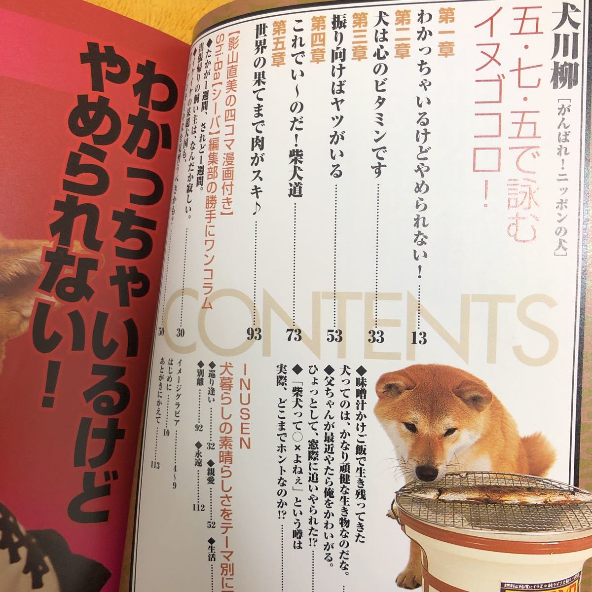犬川柳がんばれ ニッポンの犬 定価1050円 日本代购 买对网 犬川柳がんばれ ニッポンの犬 定価1050円 日本代购 买对网