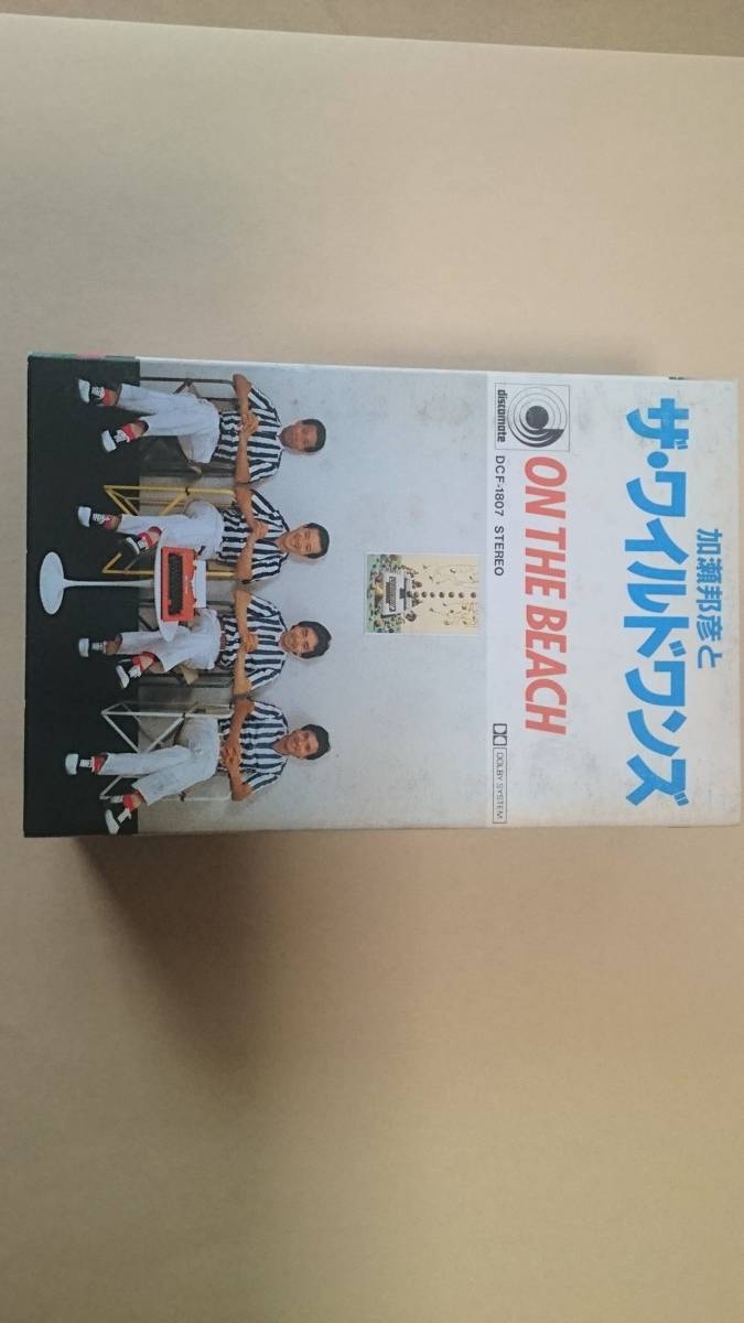 加瀬邦彦とザ ワイルドワンズ On The Beach 想い出の渚 夕陽と共に収録 超美品 Cahy 即決 1