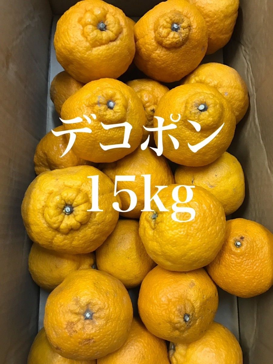 熊本県産】不知火みかん デコポン 家庭用 訳アリ品 約15kg 熊本県産】不知火みかん デコポン 家庭用 訳アリ品 約15kg
