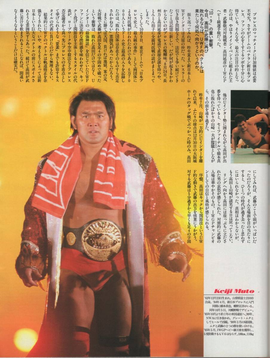  magazine Sports Graphic Number 384(1996.2/1)* special collection : Professional Wrestling wheel dance music /. wistaria ..vs. takada ../ Anne tonio. tree /../ Yamazaki one Hara /. middle poetry ./ butterfly . regular .*