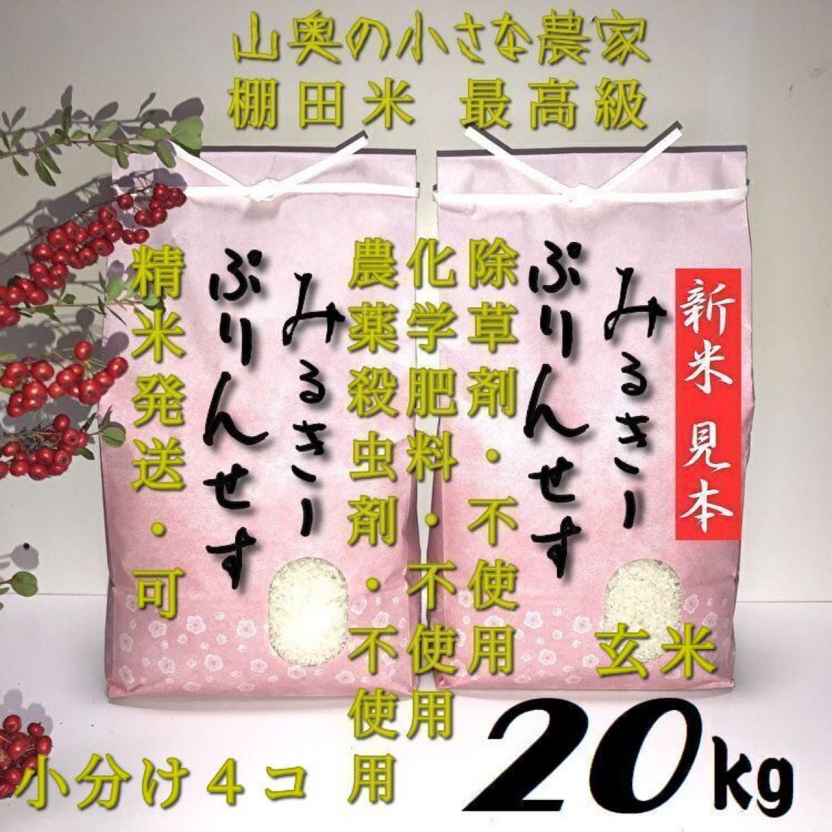 ミルキープリンセスが自然栽培/農薬が栽培期間中不使用 玄米 ミルキープリンセスが自然栽培/農薬が栽培期間中不使用 玄米