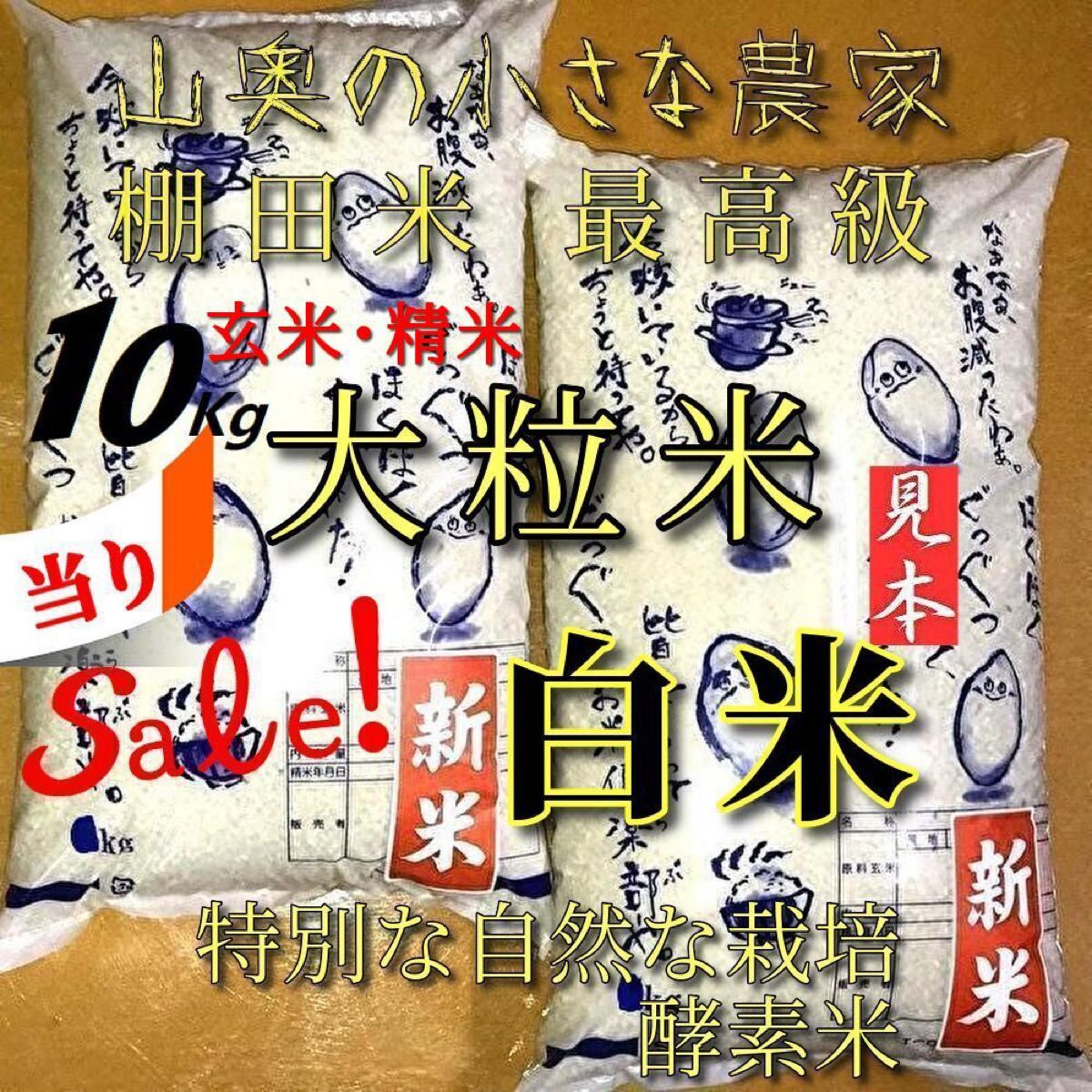 棚田米 ハイブリッド大粒米ダイヤ 酵素米 玄米10Kg「標準白米 棚田米 ハイブリッド大粒米ダイヤ 酵素米 玄米10Kg「標準白米