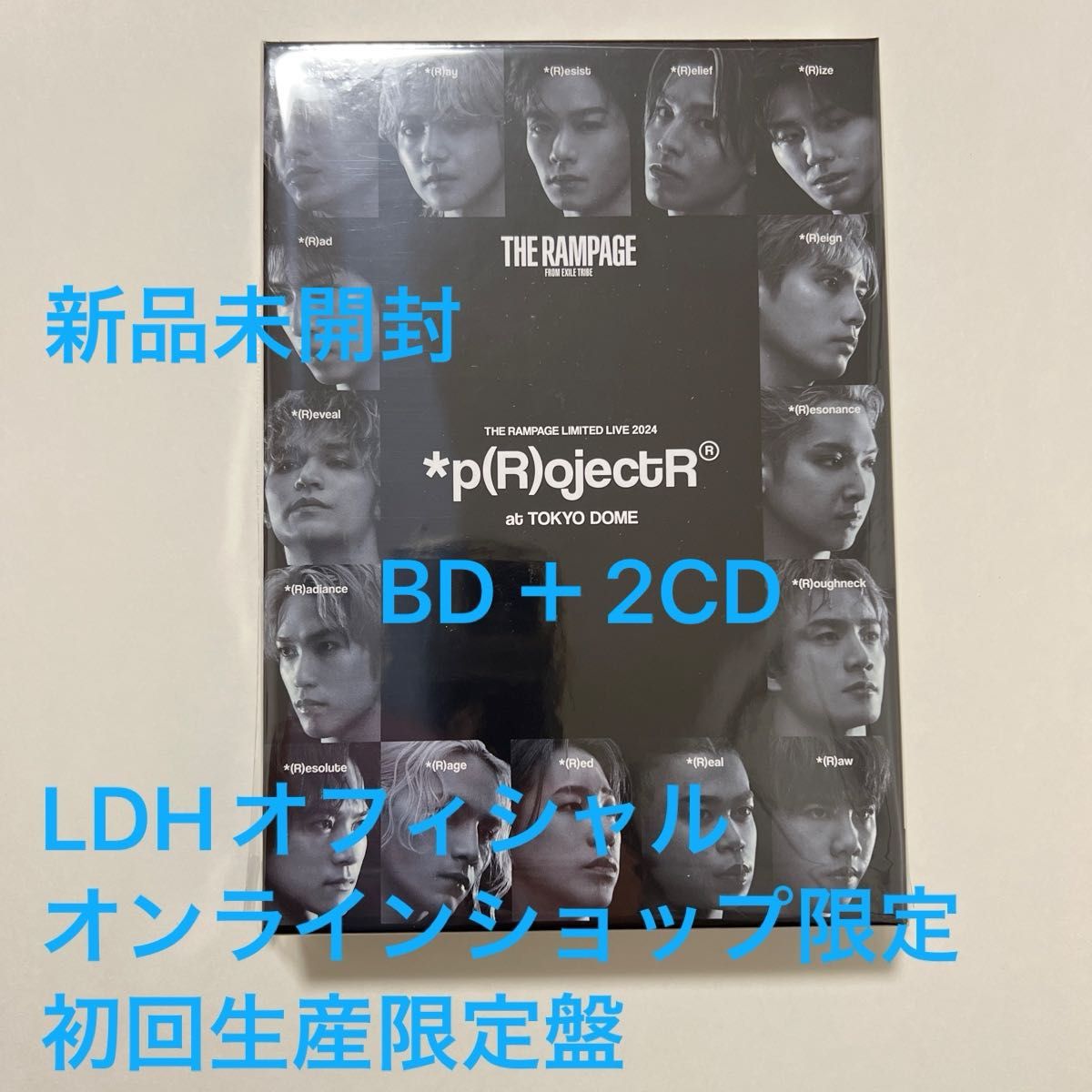 THE RAMPAGE 2024年限定ライブパンフレット THE RAMPAGE LIMITED LIVE 2024*p(R)ojectR at TOKYO DOME