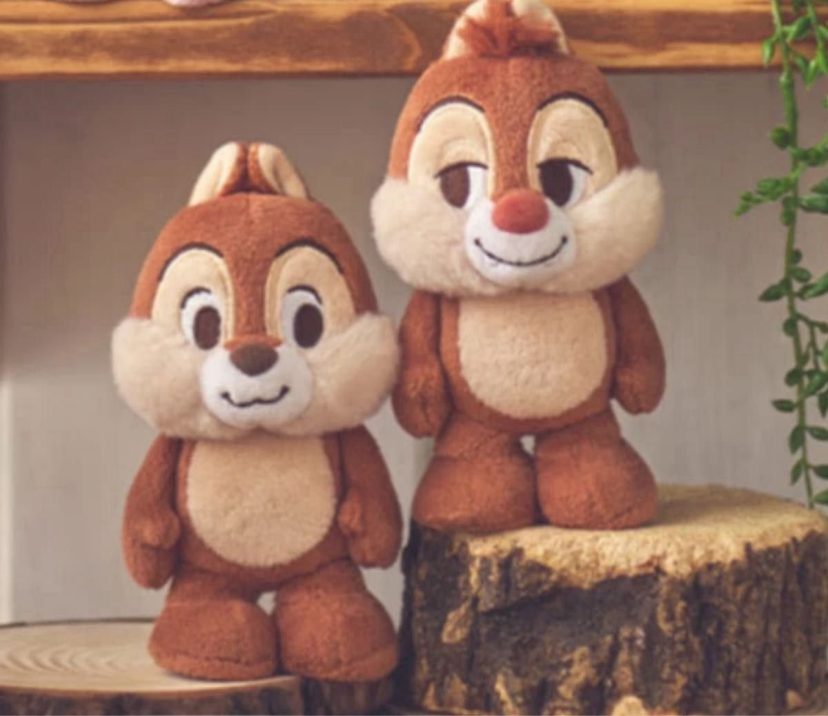 ディズニー ストア スタンディーズ チップ & デール ぬいぐるみ ディズニー ストア スタンディーズ チップ & デール ぬいぐるみ